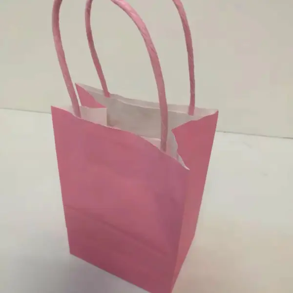 PAPER BAG W/HANDLE 12CT 8x10 LIGHT PINK
