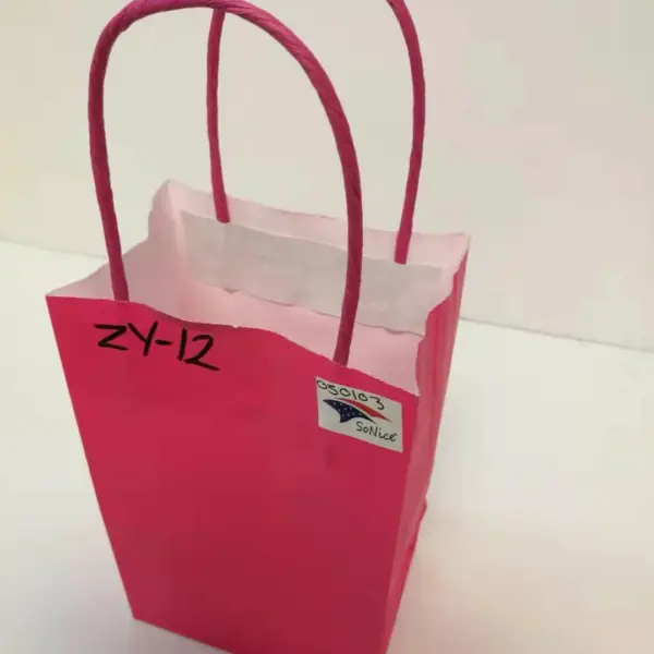 PAPER BAG W/HANDLE 12CT 8x10 HOT PINK