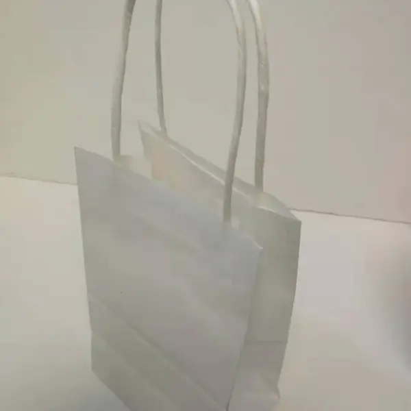 PAPER BAG W/HANDLE 12CT 5x8 WHITE