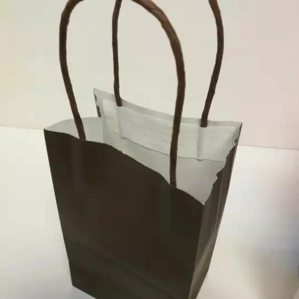 PAPER BAG W/HANDLE 12CT 8x10 BROWN