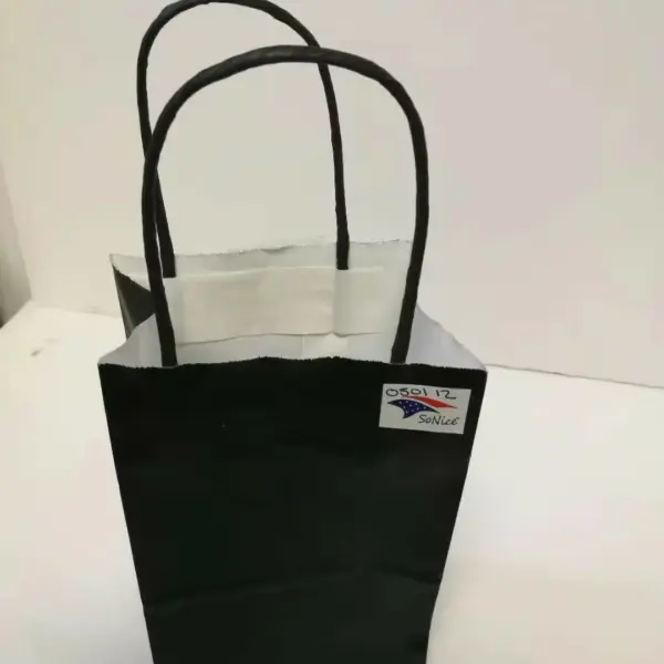 PAPER BAG W/HANDLE 12CT 8x10 BLACK