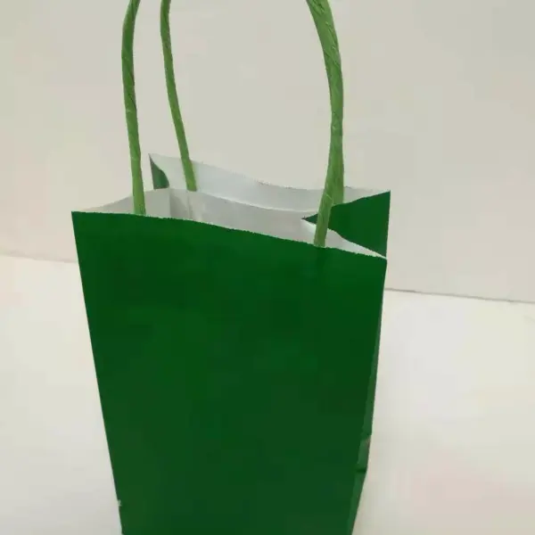 PAPER BAG W/HANDLE 12CT 8x10 GREEN