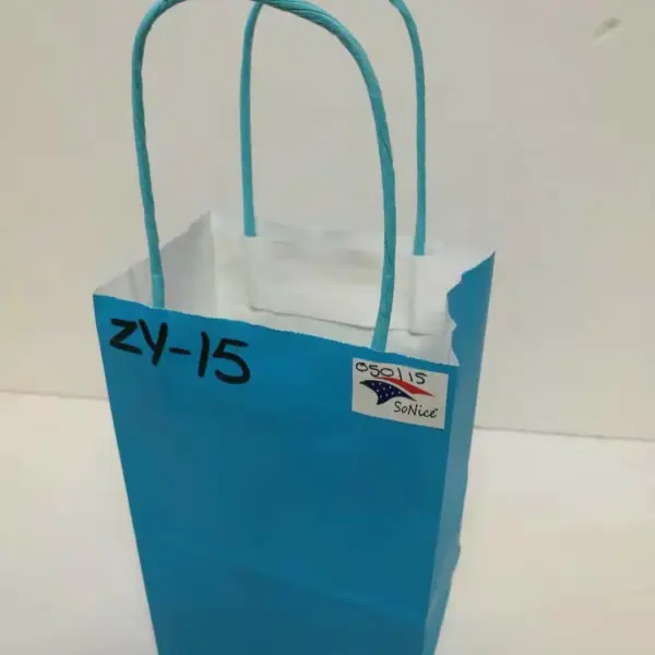 PAPER BAG W/HANDLE 12CT 8x10 TURQ
