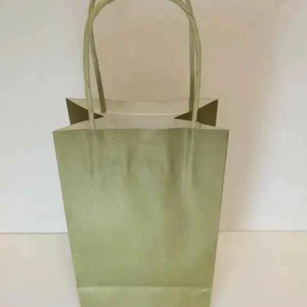 PAPER BAG W/HANDLE 12CT 8x10 GOLD