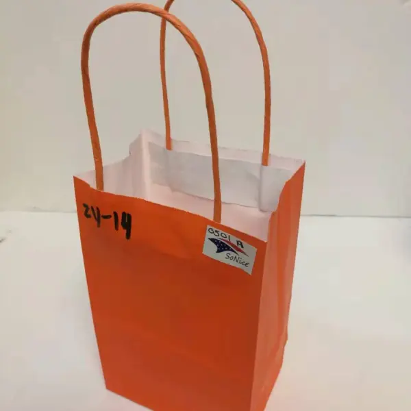 PAPER BAG W/HANDLE 12CT 8x10 ORANGE