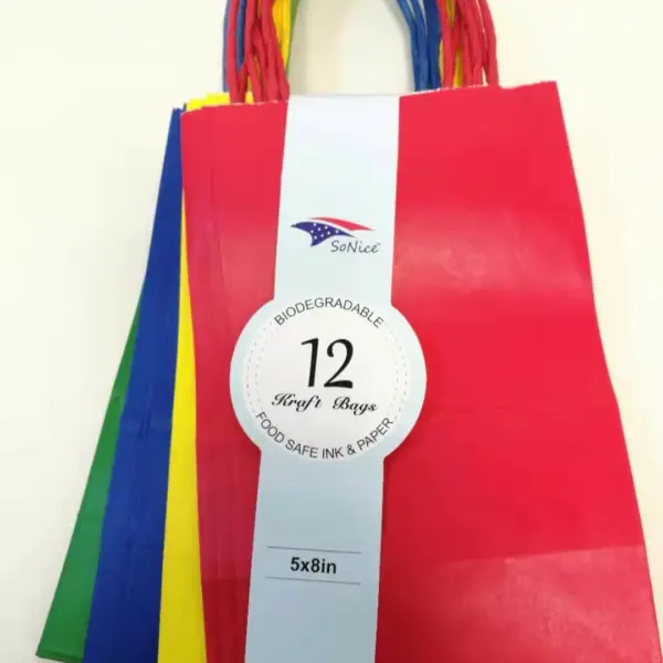PAPER BAG W/HANDLE 12CT 8x10 MULTI CLRS